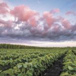 Is our growing season changing?